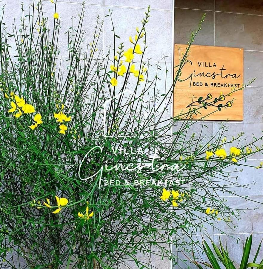 B&B Villa Ginestra Pescara Zewnętrze zdjęcie